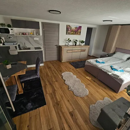 Stanojkov Apartamento *
