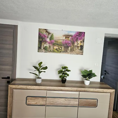 Stanojkov Apartamento